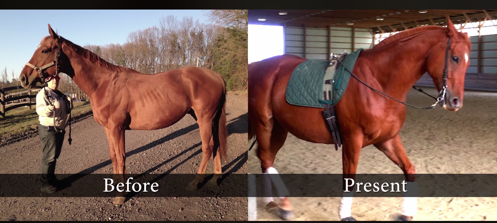 Screen Shot 2018 03 22 at 9.51.30 PM