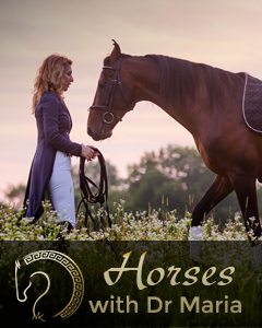 educatorIcon 1 240x300