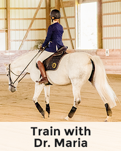 inpersonIcon 240x300