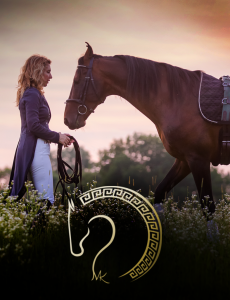 newResources 230x300