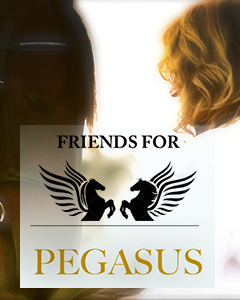 pegasusIcon 1 240x300